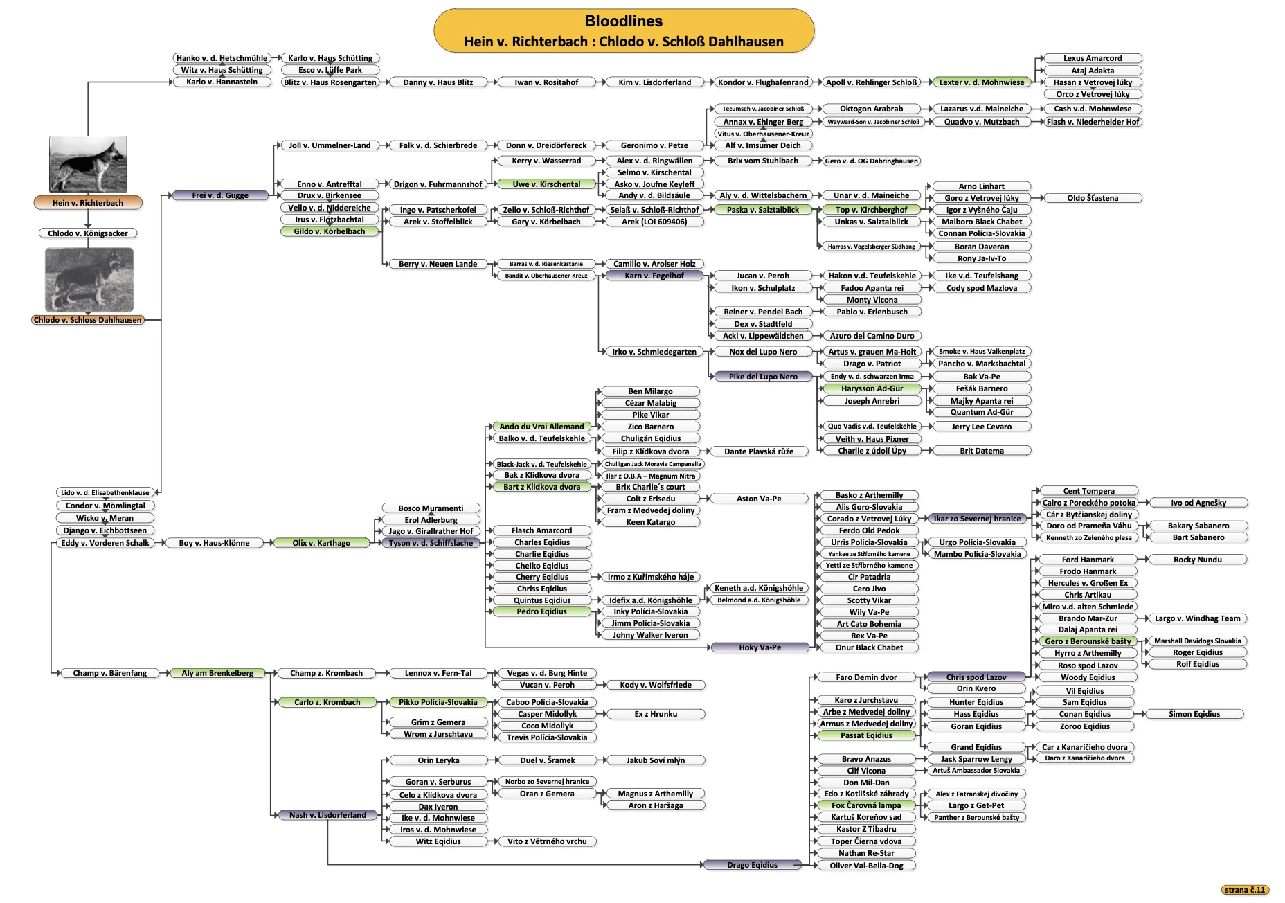 Bloodline chart of Hein v. Richterbach and Chlodo v. Schloß Dahlhausen