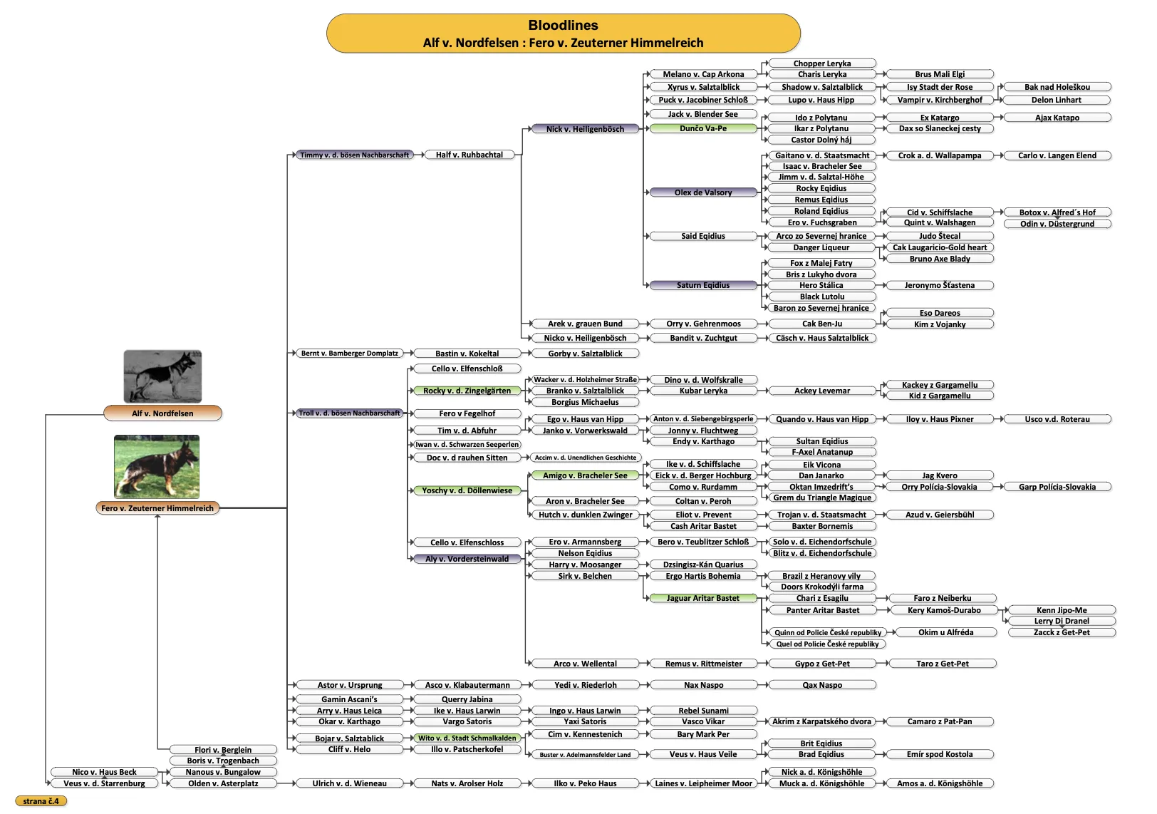 Bloodline chart of Alf v. Nordfelsen and Fero v. Zeuterner Himmelreich