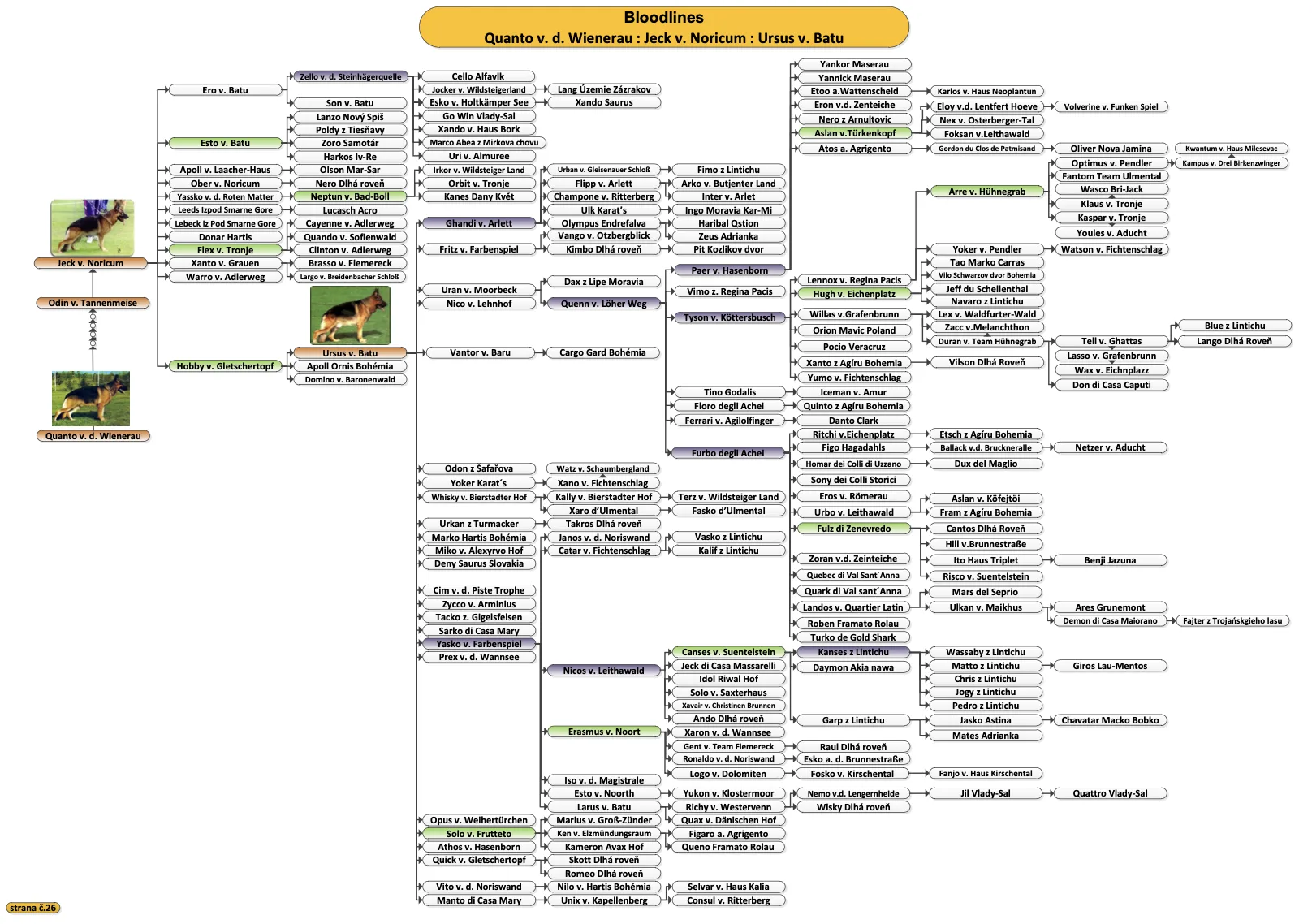 Bloodline chart of Quanto v. d. Wienerau, Jeck v. Noricum and Ursus v. Batu