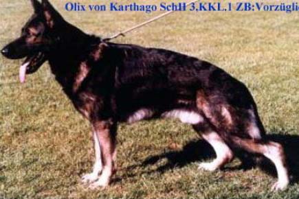 Olix von Karthago