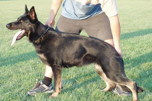 Kookie Grauenfeld