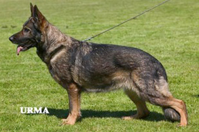 Aja MaKeRa