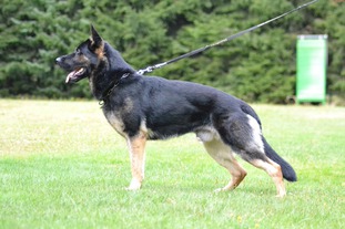 Quint v. Walshagen
