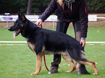 Xoltan von Peroh