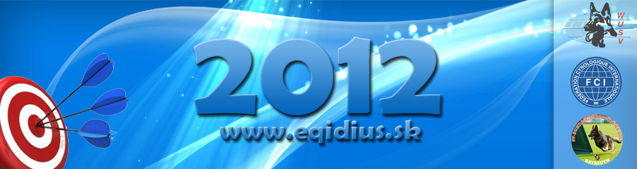 Eqidius achievements in 2012