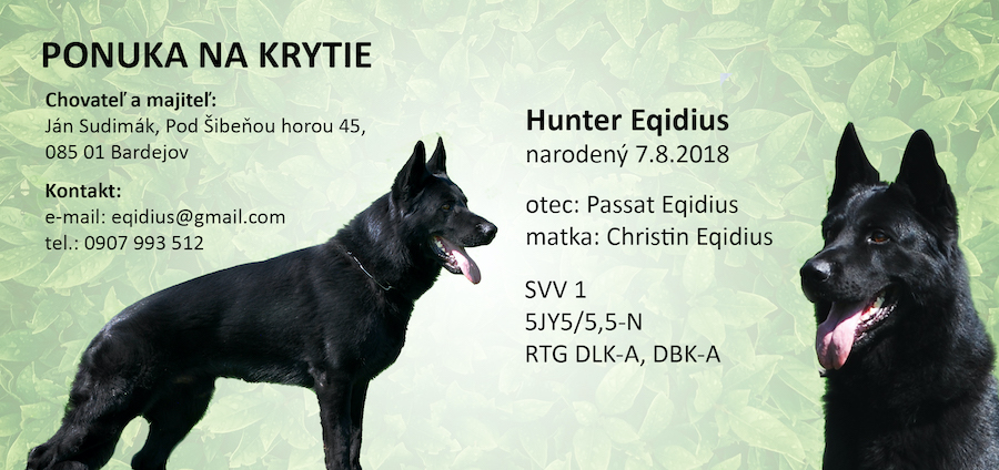 Ponuka na krytie: Hunter Eqidius